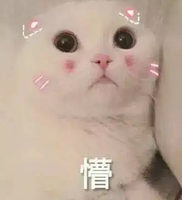 去眼袋手术