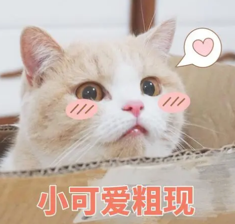 去眼袋手术