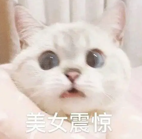 22岁就长眼袋是一种什么感受？去眼袋手术解决吗381