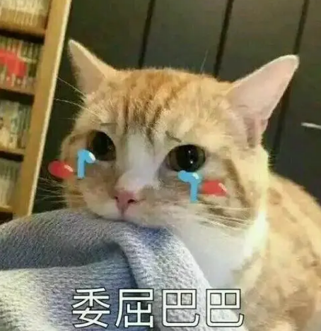去眼袋手术
