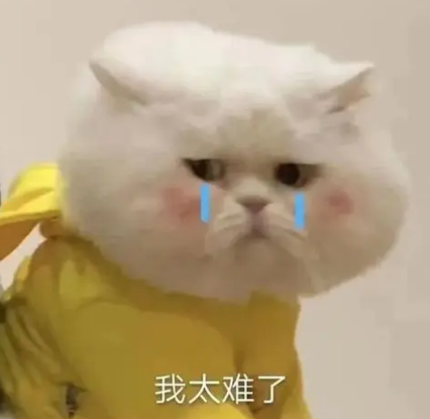 去眼袋手术
