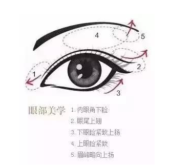 双眼皮手术