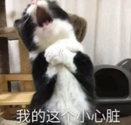 双眼皮手术失败修复容易做吗？有案例吗？228