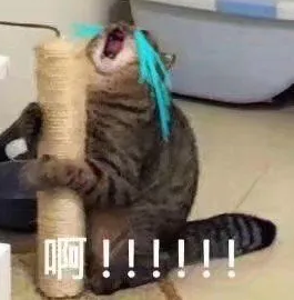 双眼皮手术