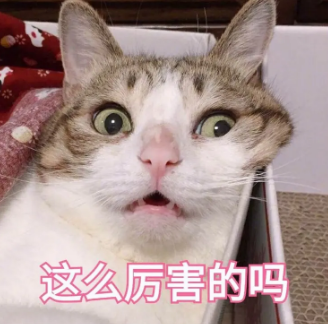 双眼皮手术