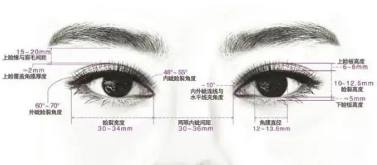 双眼皮手术