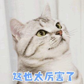 去眼袋手术