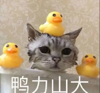 去眼袋手术