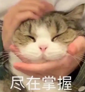 双眼皮手术