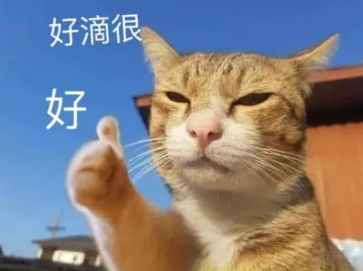 去眼袋手术
