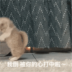 双眼皮手术