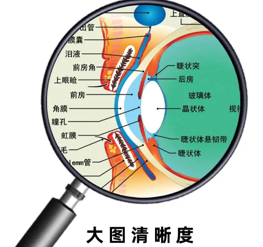 去眼袋手术