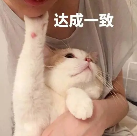 去眼袋手术