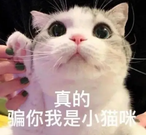 去眼袋手术