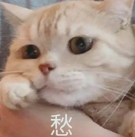 去眼袋手术