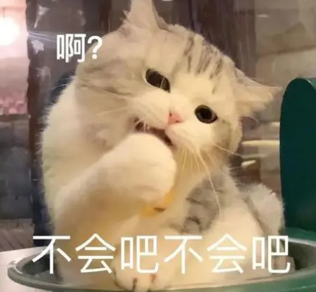 去眼袋手术
