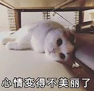 去眼袋手术