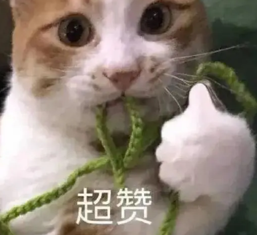 去眼袋手术