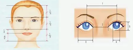 双眼皮手术