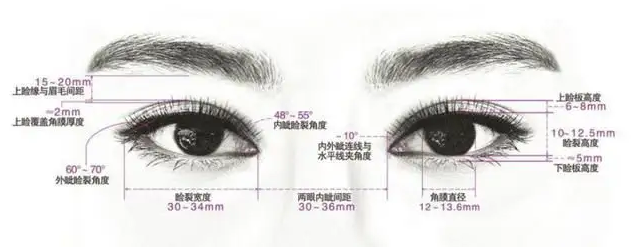 双眼皮手术