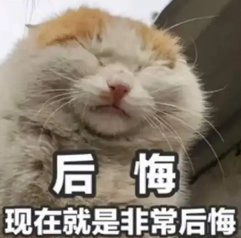 去眼袋手术