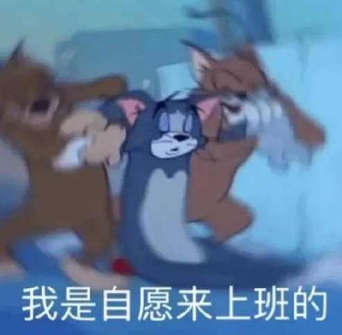 去眼袋手术