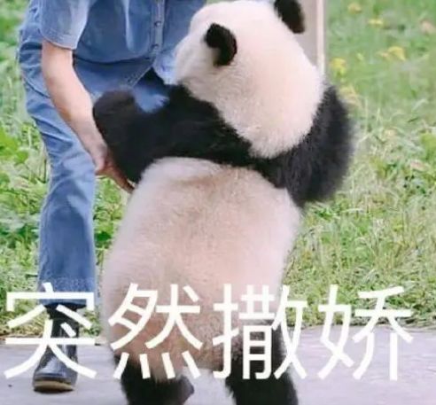去眼袋手术