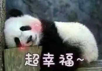 去眼袋手术