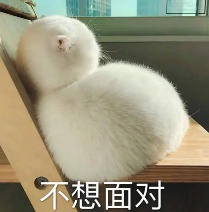 双眼皮手术