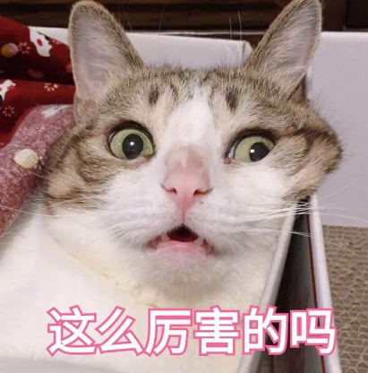 双眼皮手术