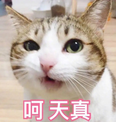 双眼皮手术