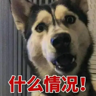去眼袋手术