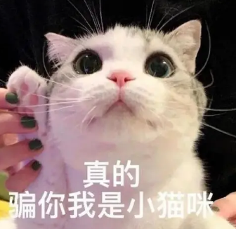 超声波减肥