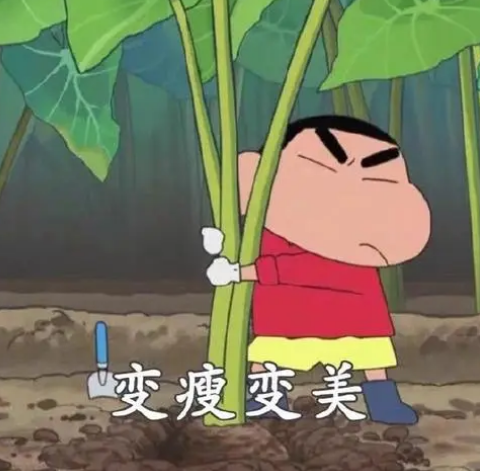 自体脂肪胶填充