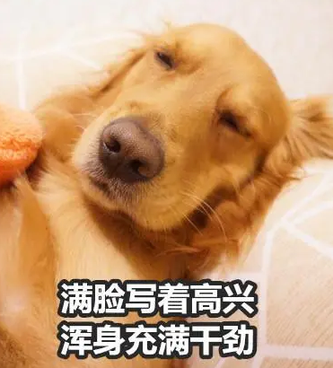 自体脂肪胶填充