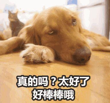去眼袋手术