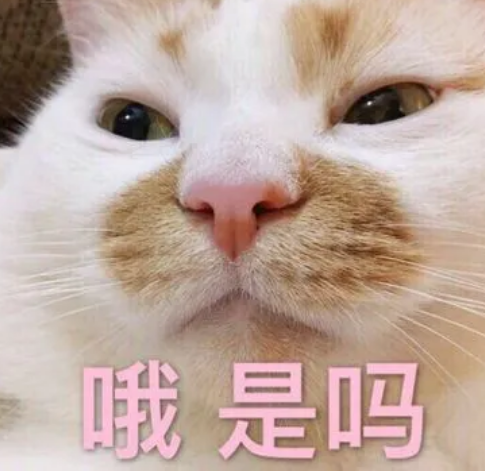 去眼袋手术