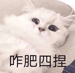 去眼袋手术