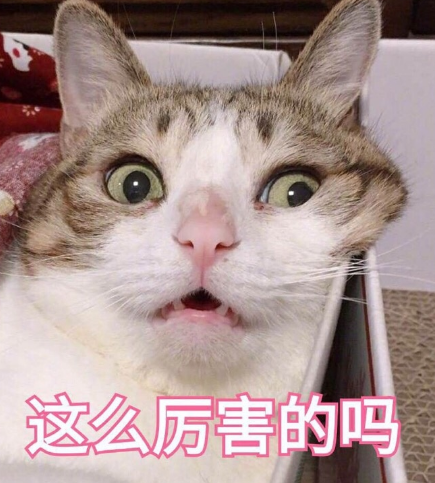 去眼袋手术