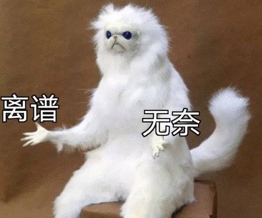 去眼袋手术