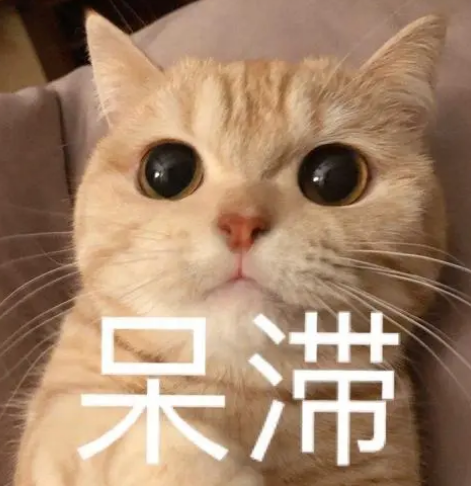 去眼袋手术