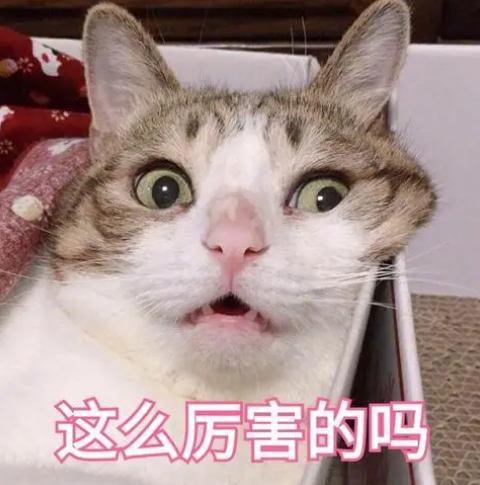 去眼袋手术
