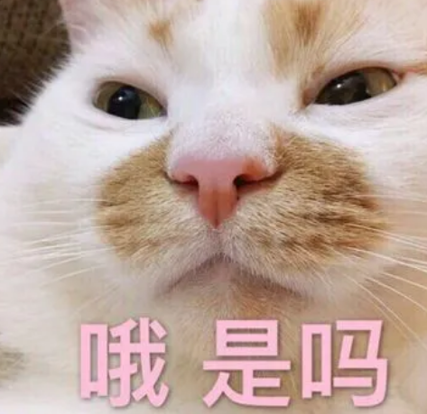 年轻人是会长眼袋的?那你选择怎么解决?567 年轻人是会长眼袋的?那你选择怎么解决?567