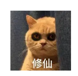 去眼袋手术