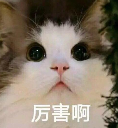 自体脂肪胶填充