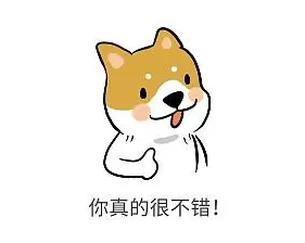 自体脂肪胶填充