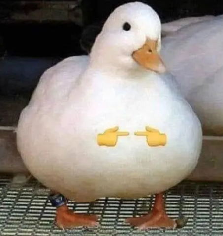 自体脂肪胶填充