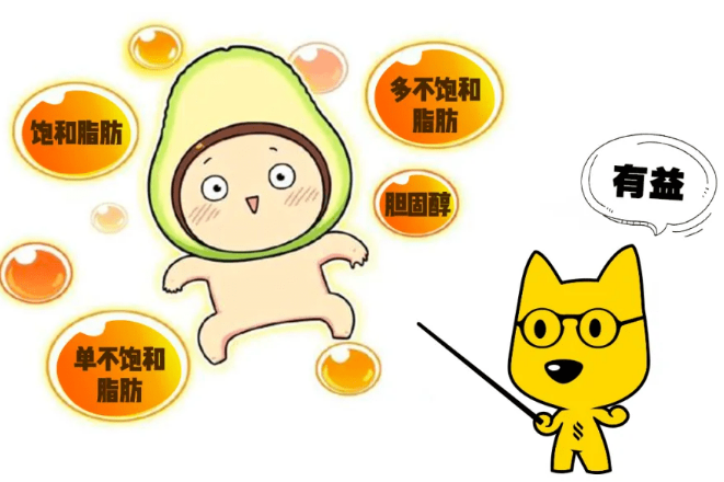 自体脂肪胶填充