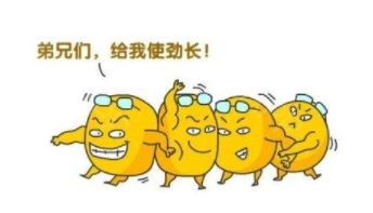 自体脂肪胶填充