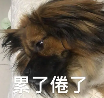 双眼皮